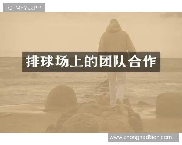 排球焦点：重庆排球队的团队协作探讨